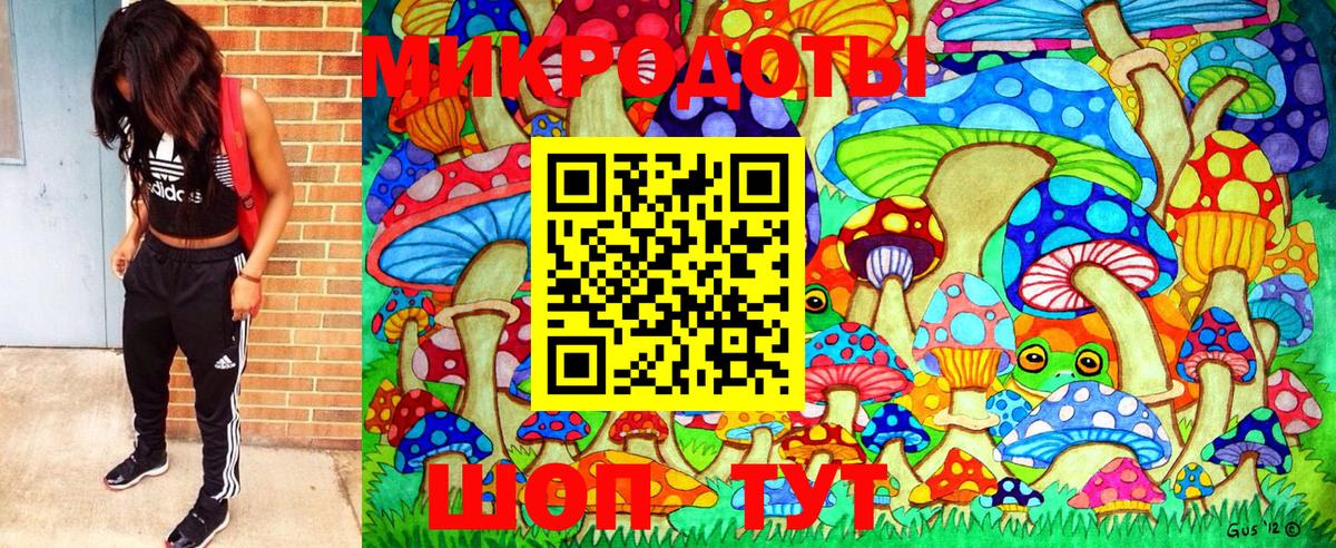 Кировск  Галлюциногенные грибы мухоморы  Галлюциногенные грибы Cubensis  Вход с VPN 